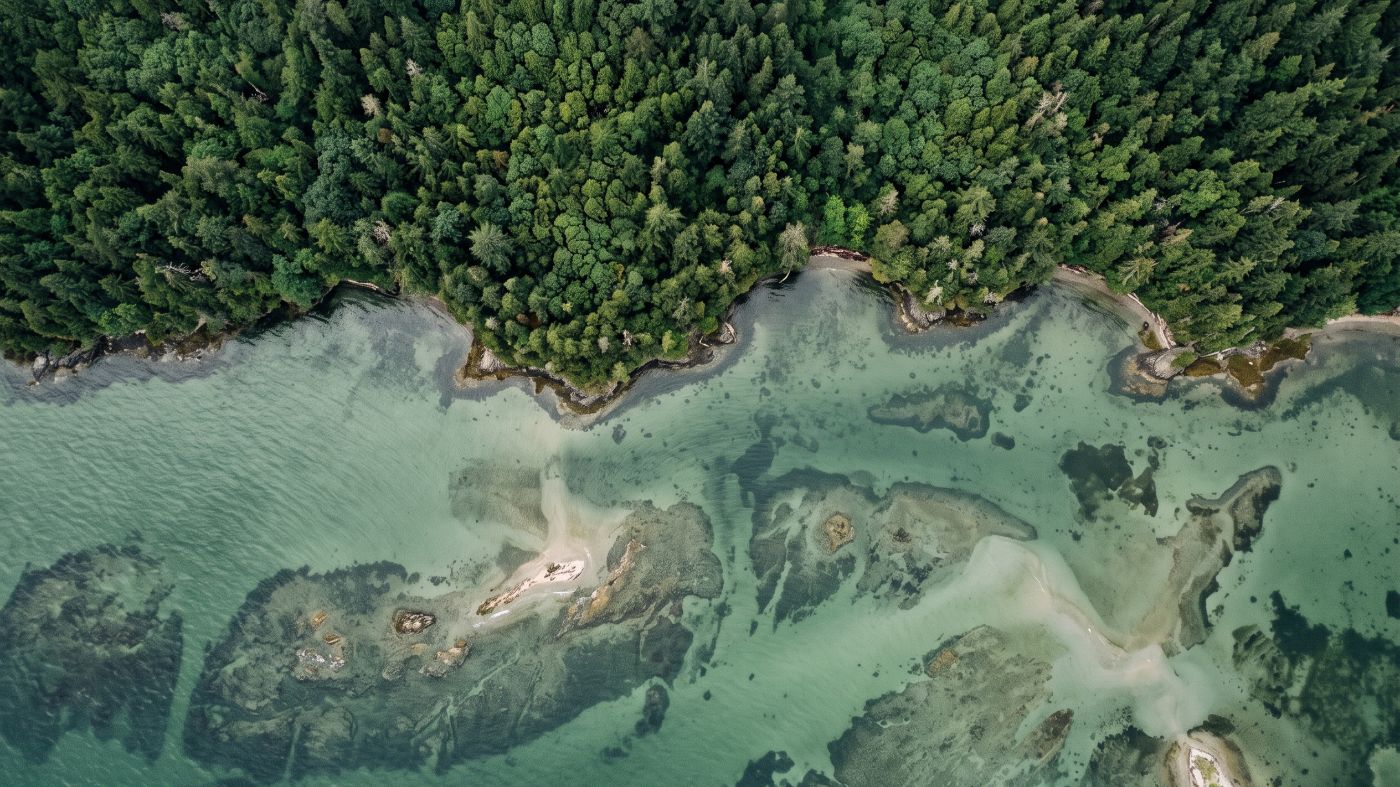 Reclaimed marine bio-minerals at source