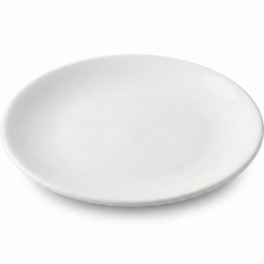 Dinner plate